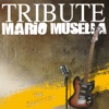 Tribute to Mario Musella