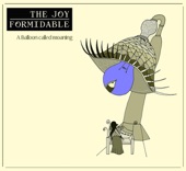 The Joy Formidable - Cradle