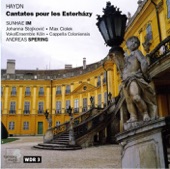 Haydn: Cantatas for the House of Esterházy artwork