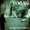 La part des ombres, 2011