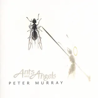 Album herunterladen Peter Murray - Ants and Angels