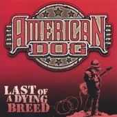 American Dog - She Had it Comin' (Live)