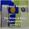 The Drum & Bass Experience Volume 3