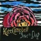 Save the Day - Kate Campbell lyrics