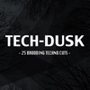 Tech-Dusk - 25 Brooding Techno Cuts