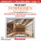 Symphony No. 29 in A major, K. 201: IV. Allegro con spirito artwork