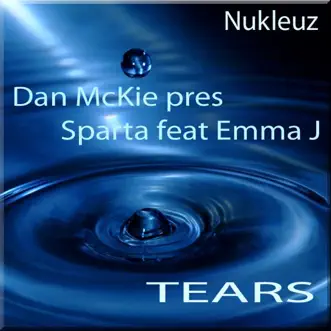 Tears (Audioscape Vocal Dub) by Dan McKie song reviws