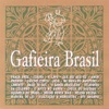 Gafieira Brazil, 2011