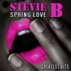 Stevie B - Because I Love You