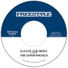 Elevate Our Minds - Single