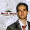 David James - How Far Is It to Bethlehem?