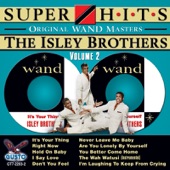 The Isley Brothers - Are You Lonely By Yourself