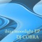 Ibiza Moonlight - DJ Cobra lyrics