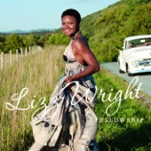 Lizz Wright - (I've Got to Use My) Imagination