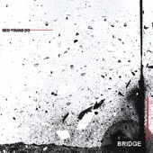 Sonicedge:Bridge artwork