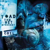 Toad the Wet Sprocket - Rings