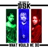 The Best of DSK - What Would We Do