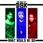 What Would We Do (Ashcroft Mix) artwork