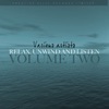 Relax, Unwind and Listen Vol 2, 2011