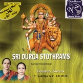 Sri Durga Stothrams (Vinyl,Out of Print,,Live,Re-mastered,Collection,Bonus Tracks,Promotional) artwork