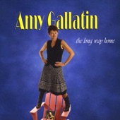 Amy Gallatin - The Long Way Home