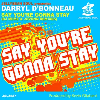 Say You're Gonna Stay (DJ Meme Remix) by Darryl D'Bonneau song reviws