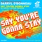 Say You're Gonna Stay - Darryl D'Bonneau lyrics