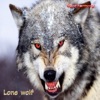 Lone Wolf