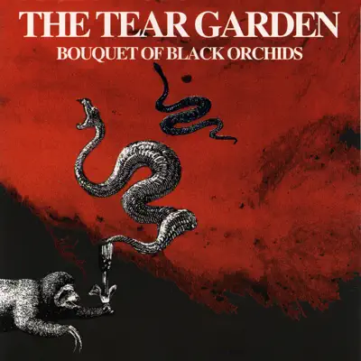 Bouquet of Black Orchids - The Tear Garden