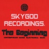 SkyGodRecordings: The Beginning