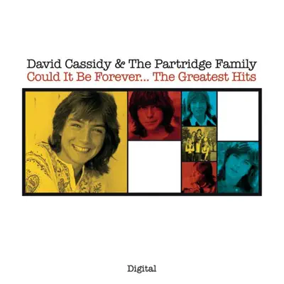 Could It Be Forever...The Greatest Hits - The Partridge Family