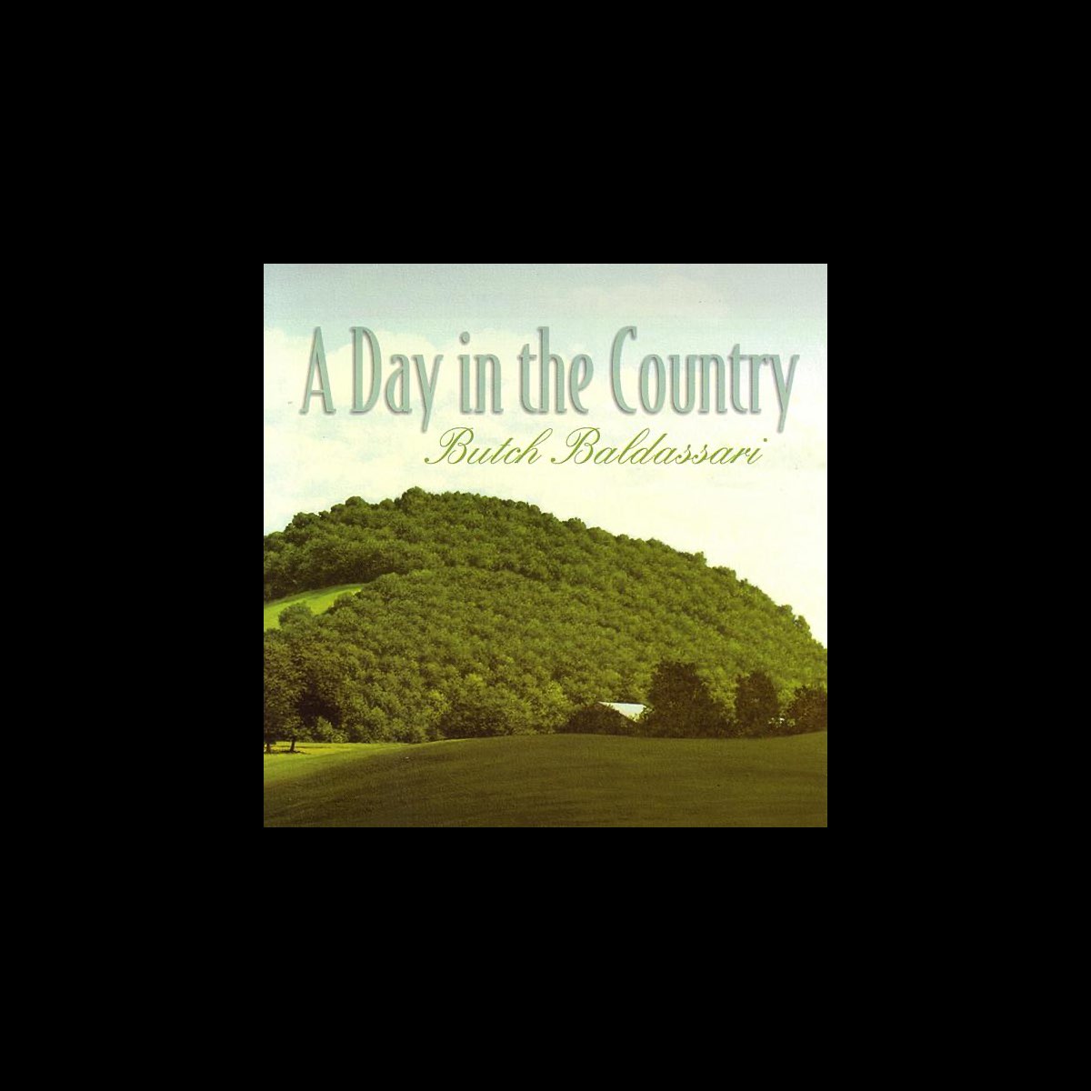 ‎A Day In the Country (Remastered) by Butch Baldassari on Apple Music