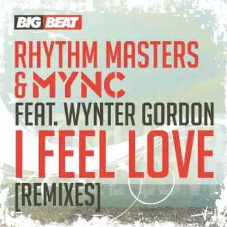 I Feel Love (feat. Wynter Gordon) [Goodwill & Hook N Sling Remix] by Rhythm Masters & MYNC song reviws