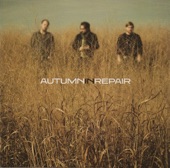 artist - All i have - Autumn in Repair