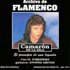Archivo de Flamenco Vol.10 (Camarón de la Isla Con el Turronero)