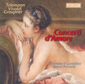 Concerto for 2 Flutes In E Minor, TWV 53: e1: II. Allegro artwork