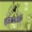 THE LUCKY STRIKES - Swing let's swing