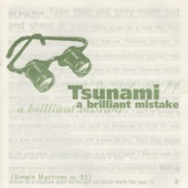 Tsunami - Unbridled