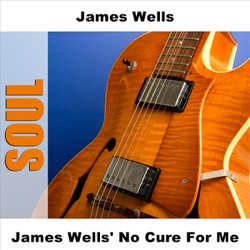 James Wells - True Love Is My Destiny