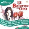 15 Boleros de Oro - Serie Homenaje