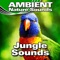 Early Afternoon Jungle Wildlife Background - Ambient Nature Sounds lyrics