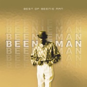 Best of Beenie Man artwork