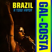 Brazil a Todo Vapor artwork