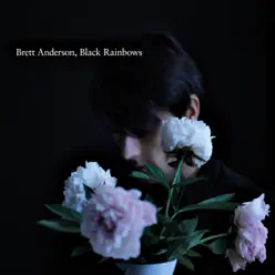 Black Rainbows - Brett Anderson