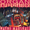 Wayne Marshall - Porgy and Bess: Bess You Is My Woman