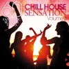 Chill House Sensation Vol. 03 (60 Fantastic Summer Tunes)