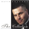 David Gregory - Fly Me to the Moon