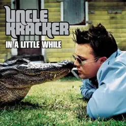 In a Little While (Radio Edit) - Single - Uncle Kracker
