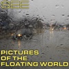 Pictures of the Floating World