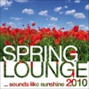 Spring Lounge 2010, 2010